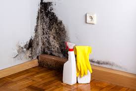 Best Indoor Air Quality Assessment in Cayuga Heights, NY